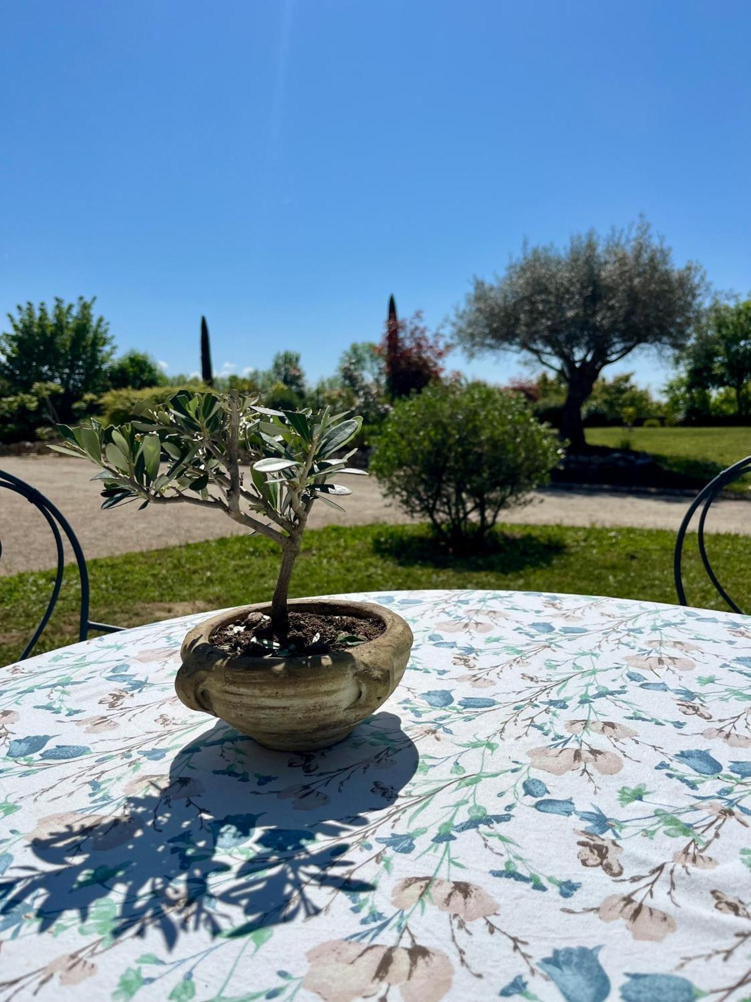Séjour chez l'habitant Le Domaine D'adrien Larnage